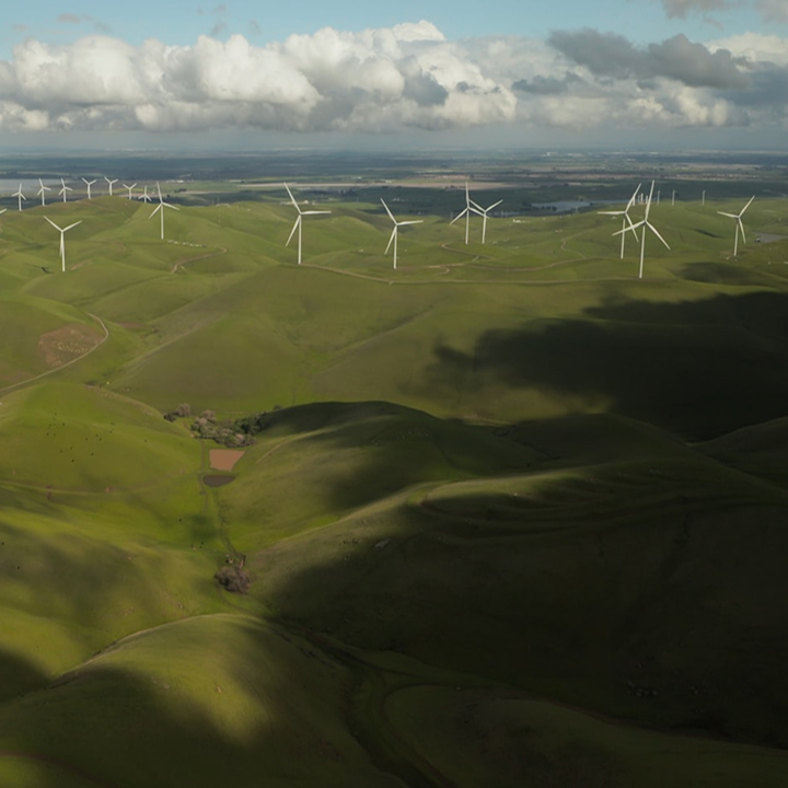 Vista aérea de un bosque con frondosa vegetación